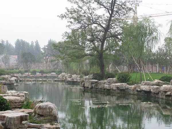 龟纹假山石河道驳岸设计.jpg